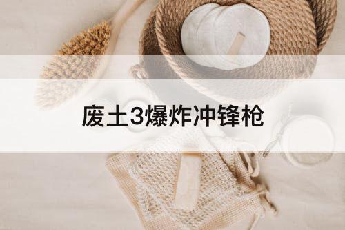 废土3爆炸冲锋枪