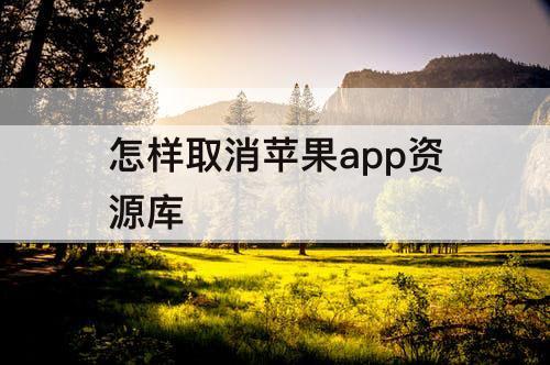怎样取消苹果app资源库
