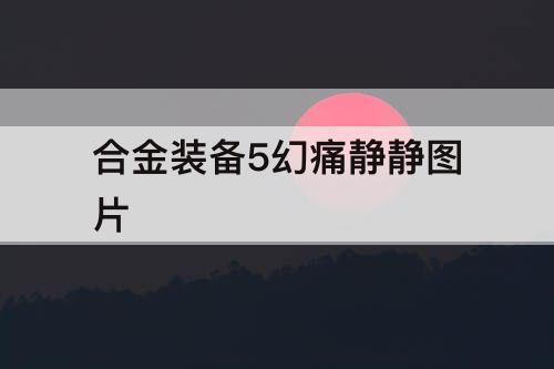合金装备5幻痛静静图片
