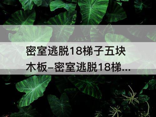 密室逃脱18梯子五块木板-密室逃脱18梯子五块木板攻略