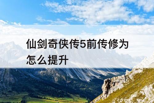 仙剑奇侠传5前传修为怎么提升