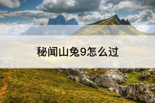 秘闻山兔9怎么过