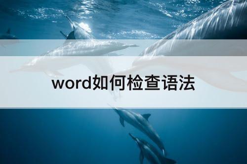 word如何检查语法