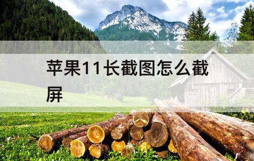 苹果11长截图怎么截屏