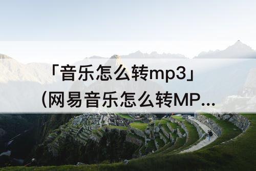 「音乐怎么转mp3」(网易音乐怎么转MP3格式)