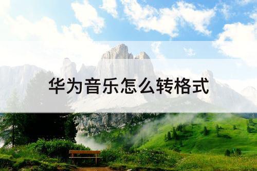 华为音乐怎么转格式