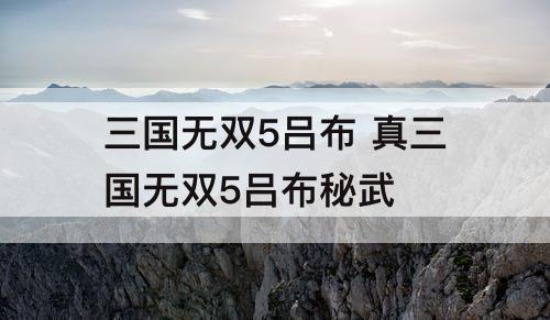 三国无双5吕布 真三国无双5吕布秘武