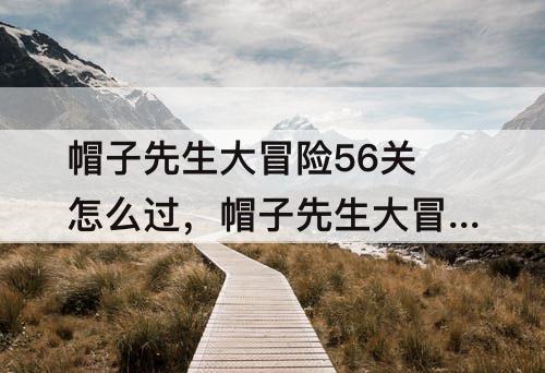 帽子先生大冒险56关怎么过，帽子先生大冒险56关怎么过关