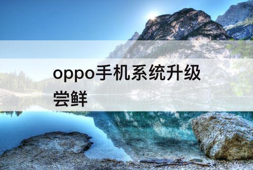 oppo手机系统升级尝鲜