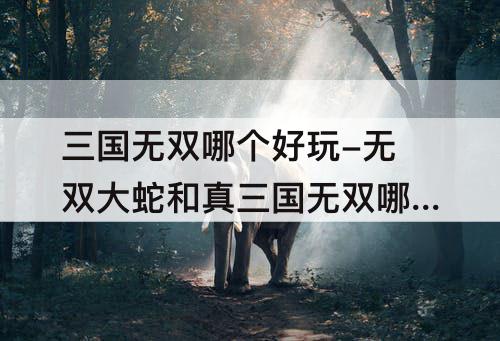三国无双哪个好玩-无双大蛇和真三国无双哪个好玩