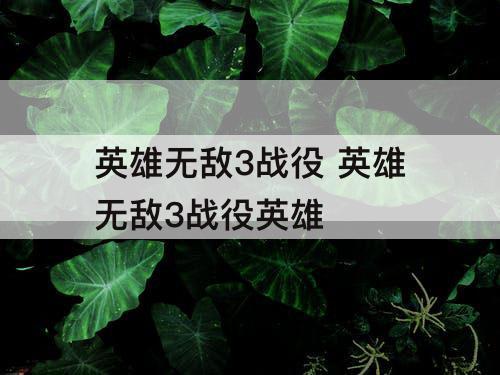 英雄无敌3战役 英雄无敌3战役英雄