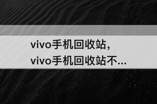 vivo手机回收站，vivo手机回收站不显示文件了
