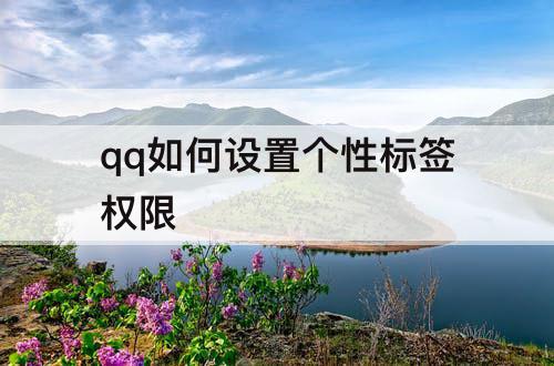 qq如何设置个性标签权限