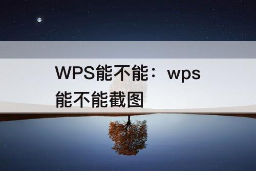 WPS能不能：wps能不能截图
