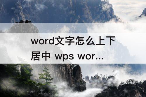 word文字怎么上下居中 wps word文字怎么上下居中