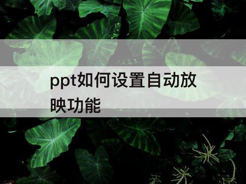 ppt如何设置自动放映功能