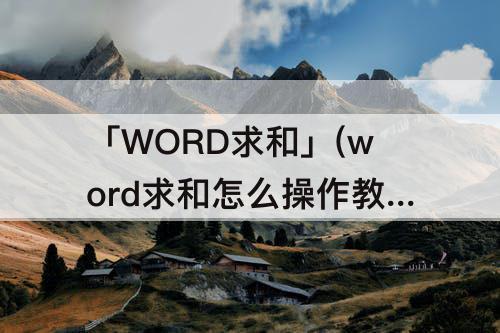 「WORD求和」(word求和怎么操作教程)
