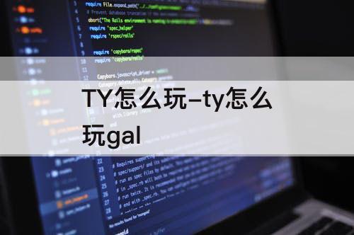 TY怎么玩-ty怎么玩gal