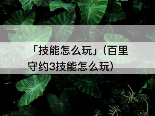 「技能怎么玩」(百里守约3技能怎么玩)