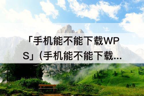 「手机能不能下载WPS」(手机能不能下载Wps office 输入word文档)