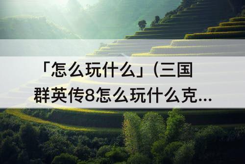 「怎么玩什么」(三国群英传8怎么玩什么克制重步兵)