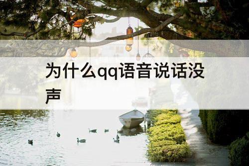 为什么qq语音说话没声