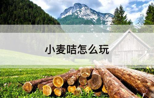 小麦咭怎么玩