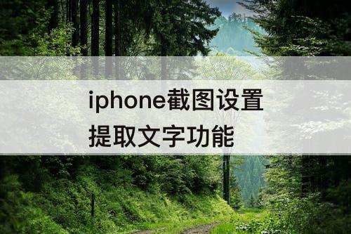 iphone截图设置提取文字功能