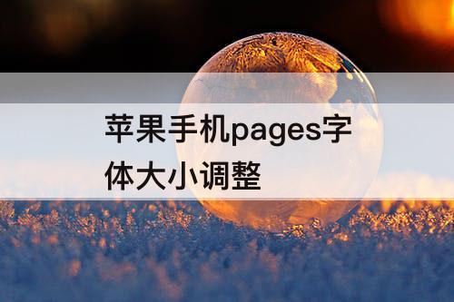 苹果手机pages字体大小调整