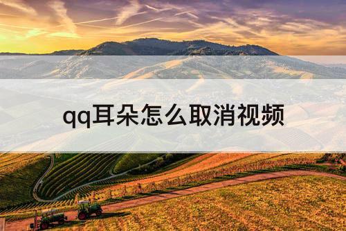 qq耳朵怎么取消视频