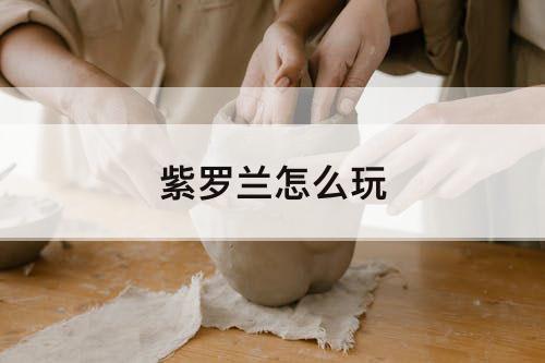 紫罗兰怎么玩