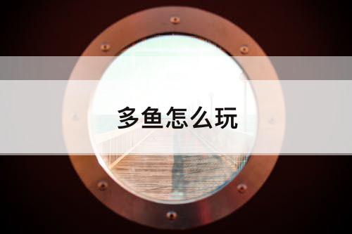 多鱼怎么玩
