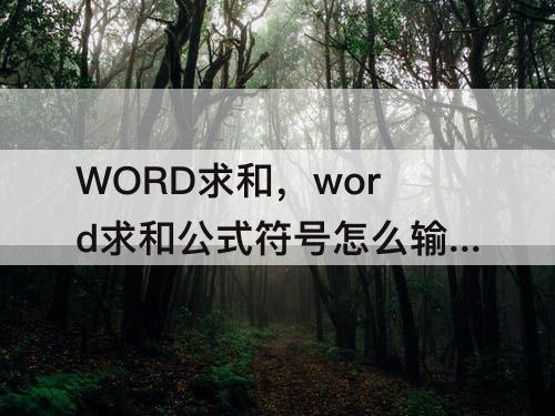 WORD求和，word求和公式符号怎么输入