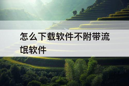 怎么下载软件不附带流氓软件