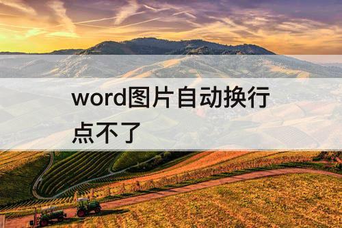 word图片自动换行点不了