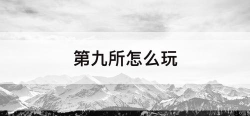 第九所怎么玩