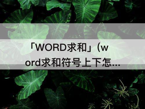 「WORD求和」(word求和符号上下怎么变成右边了)