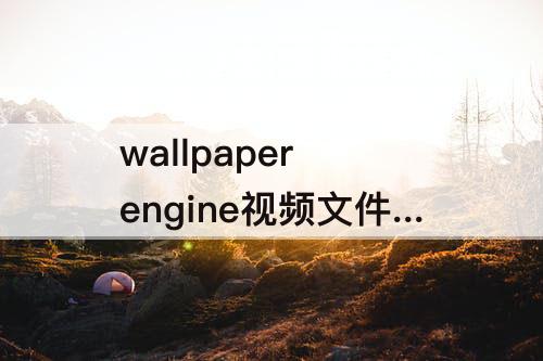 wallpaper engine视频文件位置