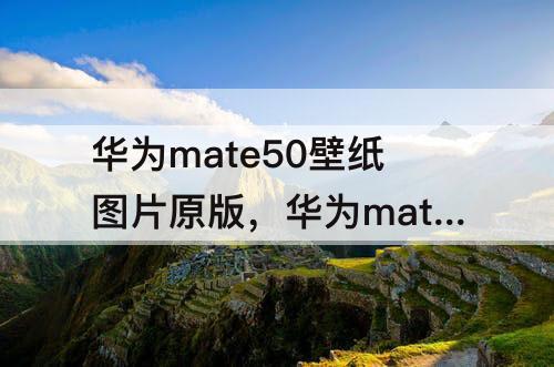 华为mate50壁纸图片原版，华为mate50壁纸图片原版百度云