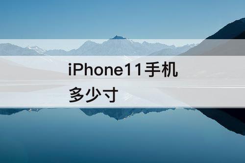 iPhone11手机多少寸