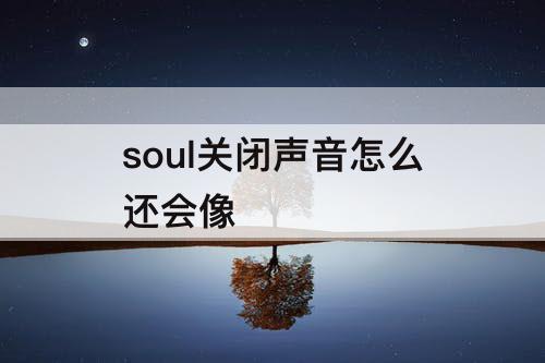 soul关闭声音怎么还会像