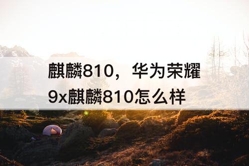 麒麟810，华为荣耀9x麒麟810怎么样