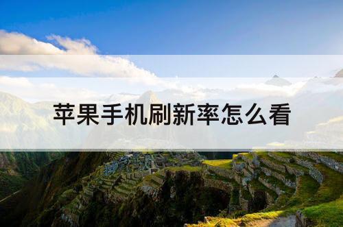 苹果手机刷新率怎么看