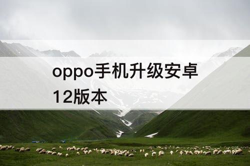 oppo手机升级安卓12版本