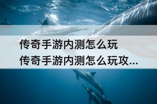传奇手游内测怎么玩 传奇手游内测怎么玩攻略教程