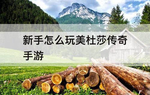新手怎么玩美杜莎传奇手游