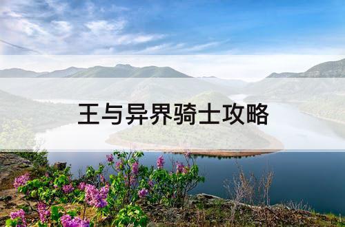 王与异界骑士攻略