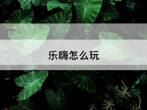 乐嗨怎么玩