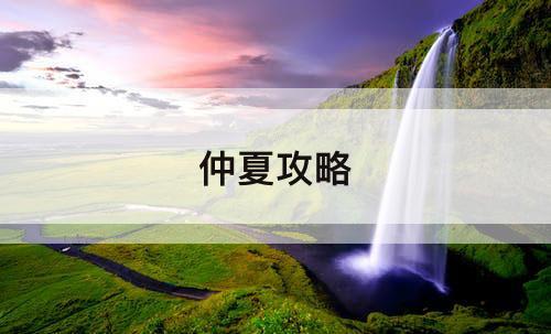 仲夏攻略