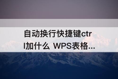 自动换行快捷键ctrl加什么 WPS表格自动换行快捷键ctrl加什么